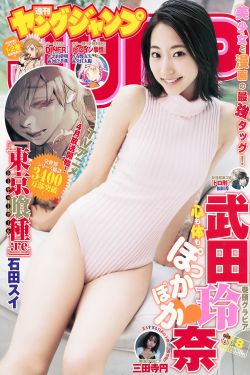 反黑先锋